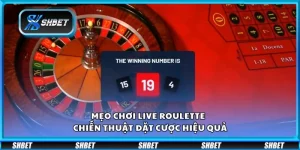 Mẹo chơi Live Roulette – Chiến thuật đặt cược hiệu quả