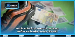 Thuật ngữ cá độ bóng đá tại Shbet - Những khái niệm cơ bản cần biết